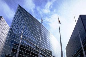 妙高エリアでペットを飼える賃貸物件の探す方法