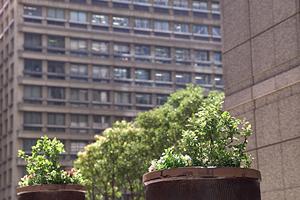 自然を感じられる香川の注文住宅の会社