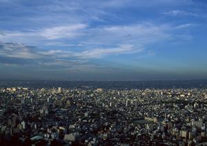 家探しをする時に抑えたいポイント