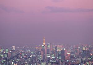 安全性の高いジップラインを設置