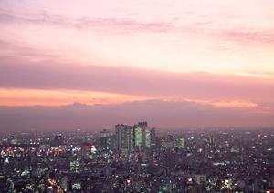 横浜発、自然と最先端がコンセプトのデザイン住宅