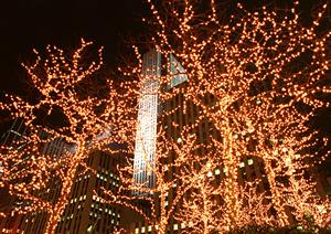 札幌で注文住宅を考えるならここが有利