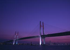 福岡市博多区の賃貸アパート・マンション探しに最適！ドリームステージ博多駅前店の魅力とサービス